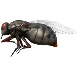 bait